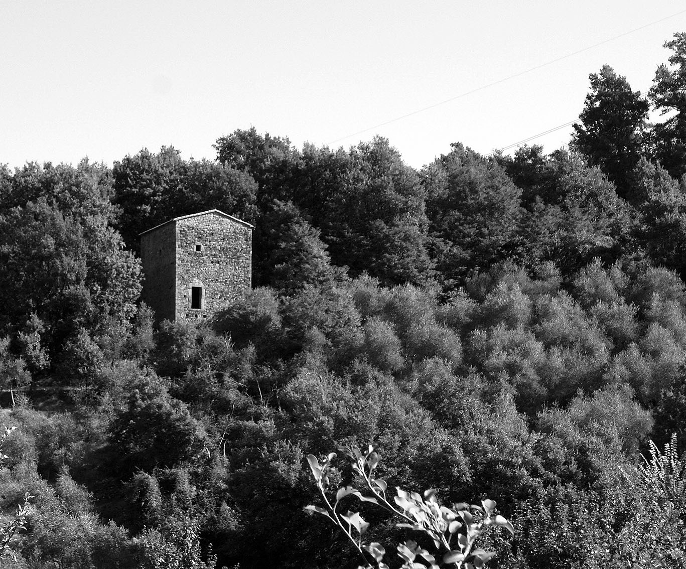 Canale di Ponticello: l’antico confine tra Pontremoli e i Malaspina Canale di Ponticello: l’antico confine tra Pontremoli e i Malaspina