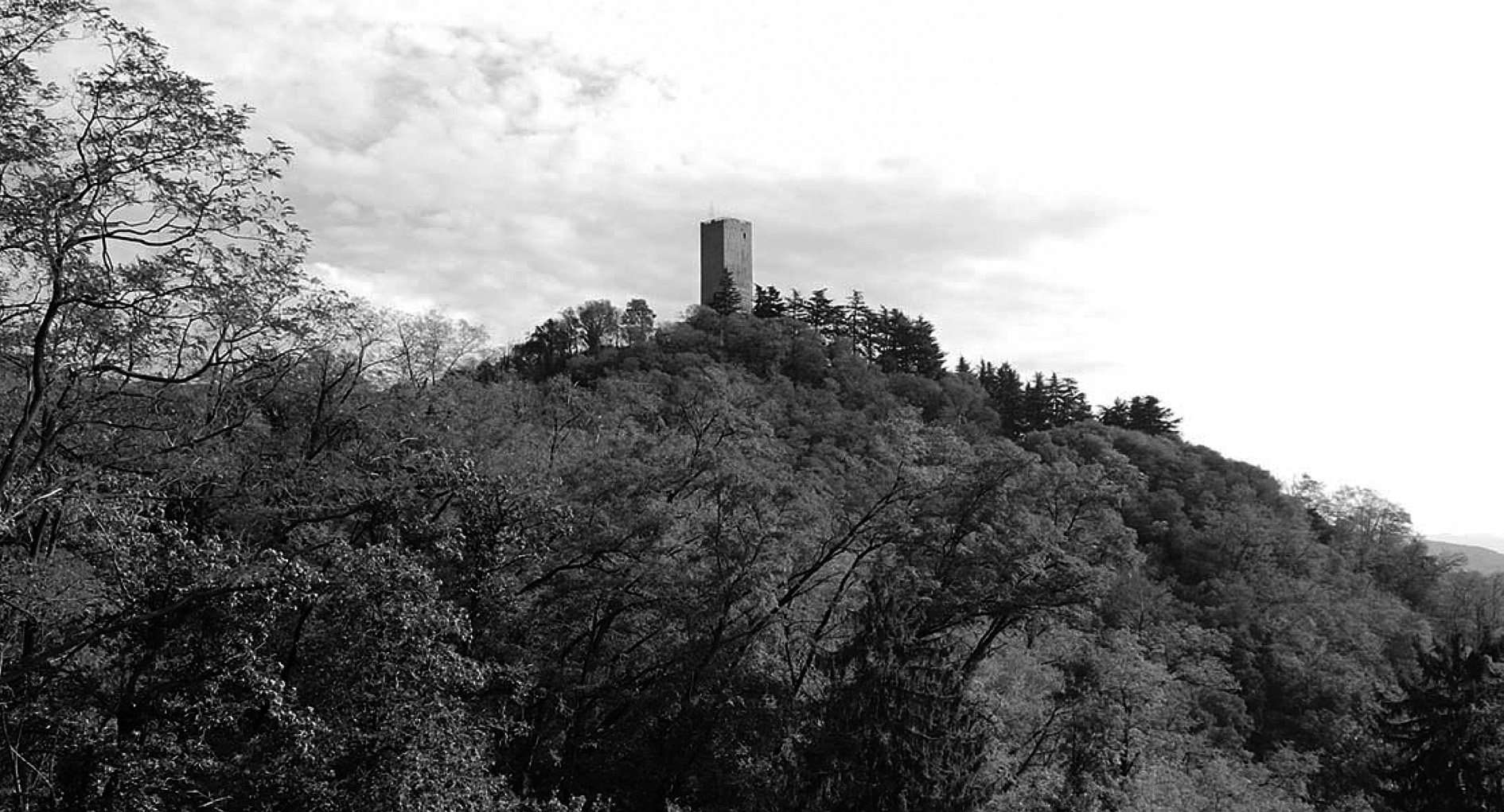 Una vicenda millenaria: i Ruschi da Como a Pisa. Poi a Pontremoli Una vicenda millenaria: i Ruschi da Como a Pisa. Poi a Pontremoli