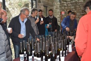 Gli esperti assaggiano i vini