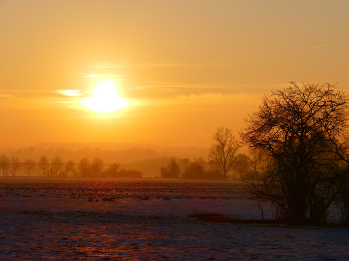 Parvenza d’inverno tra nebbie, sole e brinate Parvenza d’inverno tra nebbie, sole e brinate