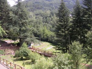 frignoli_1-1