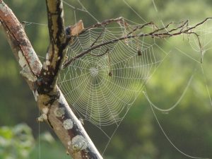 10meteoragnatela
