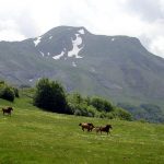 Parco-Appennino