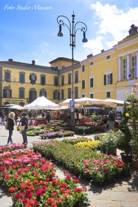 bancarelfiore_2017_04