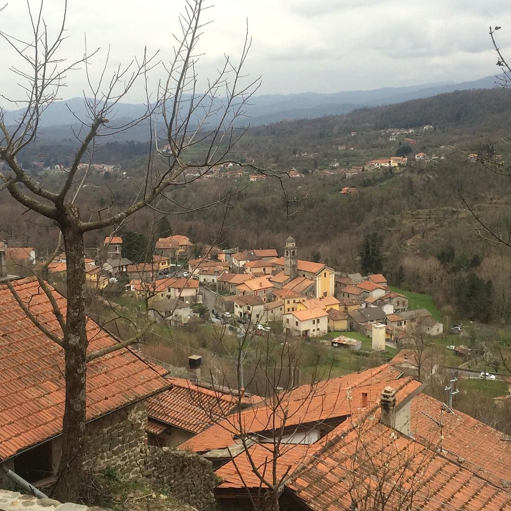 Vico: un paese sui social per “legare” e farsi conoscere Vico: un paese sui social per “legare” e farsi conoscere