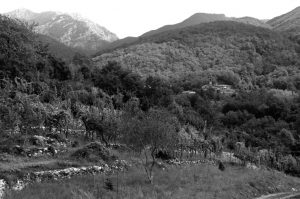 casalina