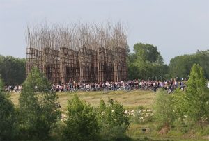 cattedrali_vegetali01