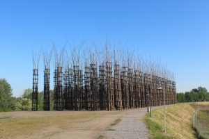 cattedrali_vegetali03