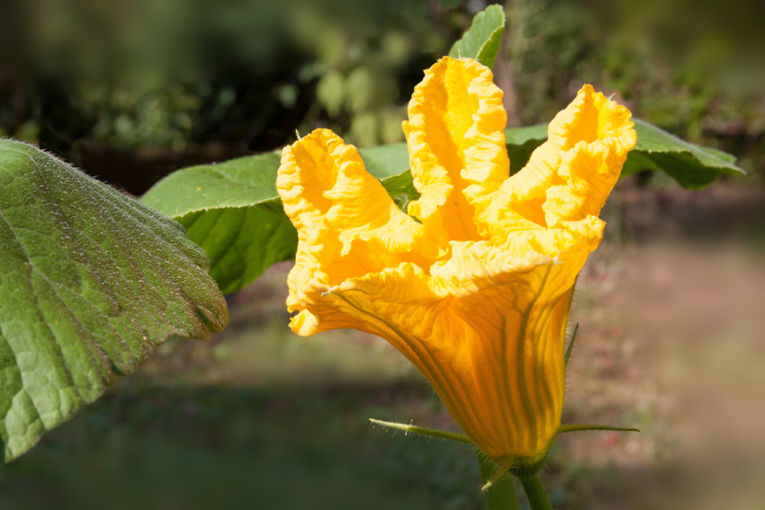 Giugno si abbona al sole Giugno si abbona al sole