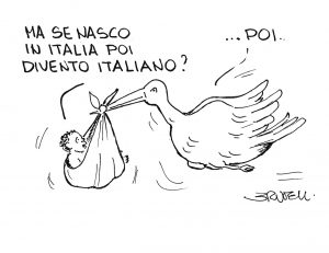 25vignetta