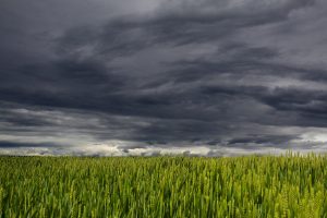 26meteo