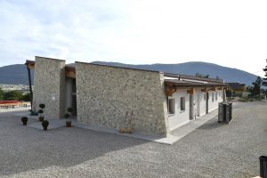 Bassetti_Norcia02