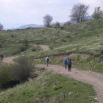 Un immagine dei prati di Logarghena