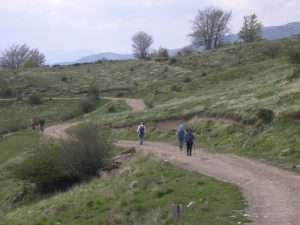 Prato di Logarghena