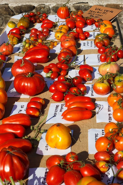 A Malgrate la 5ª edizione della Mostra nazionale del pomodoro