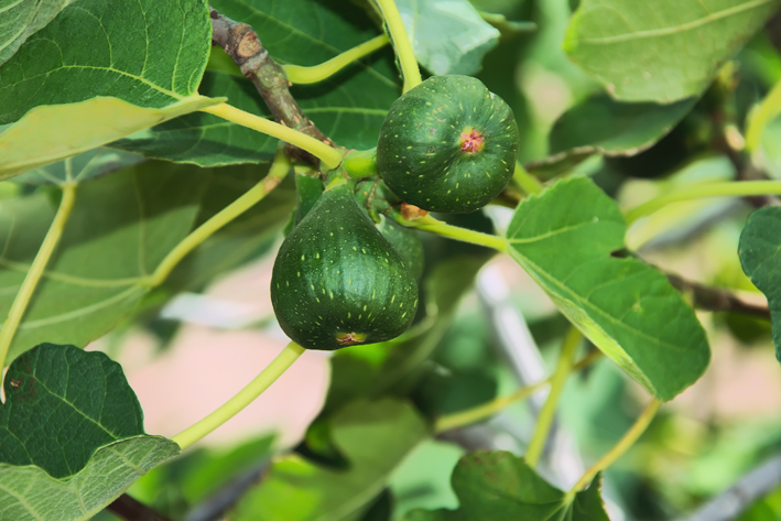 Verso l’autunno, arriva il maltempo Verso l’autunno, arriva il maltempo