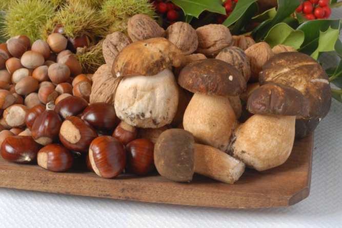 Appuntamenti con i funghi e le castagne Appuntamenti con i funghi e le castagne