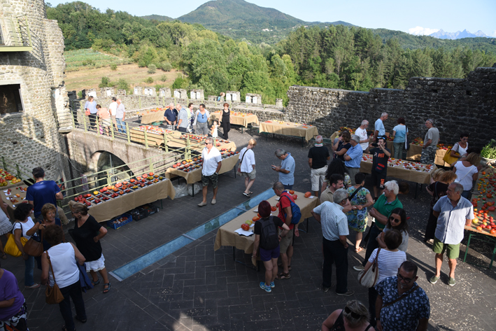 Grande successo per la mostra del pomodoro Grande successo per la mostra del pomodoro