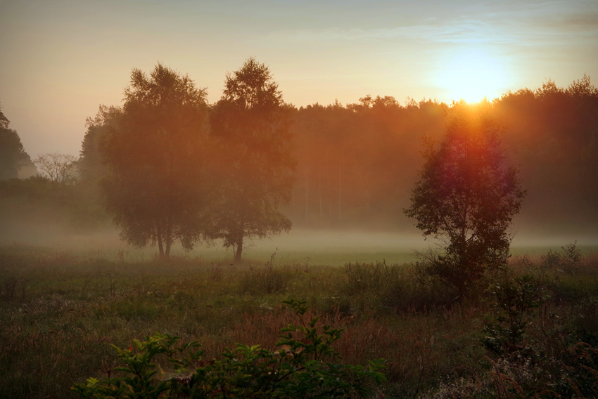 Le prime brume d’ottobre Le prime brume d’ottobre