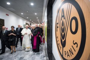 39Papa_FAO2017b