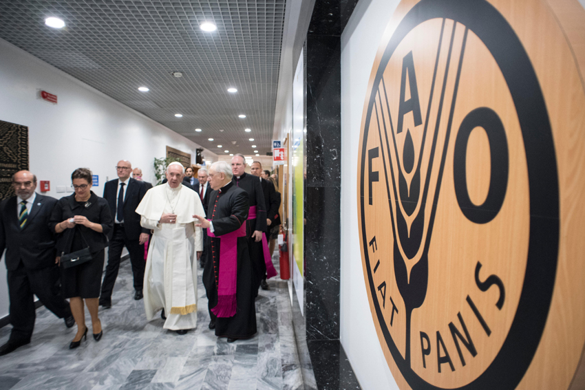 Papa Francesco alla Fao: “La fame non è una malattia incurabile” Papa Francesco alla Fao: “La fame non è una malattia incurabile”