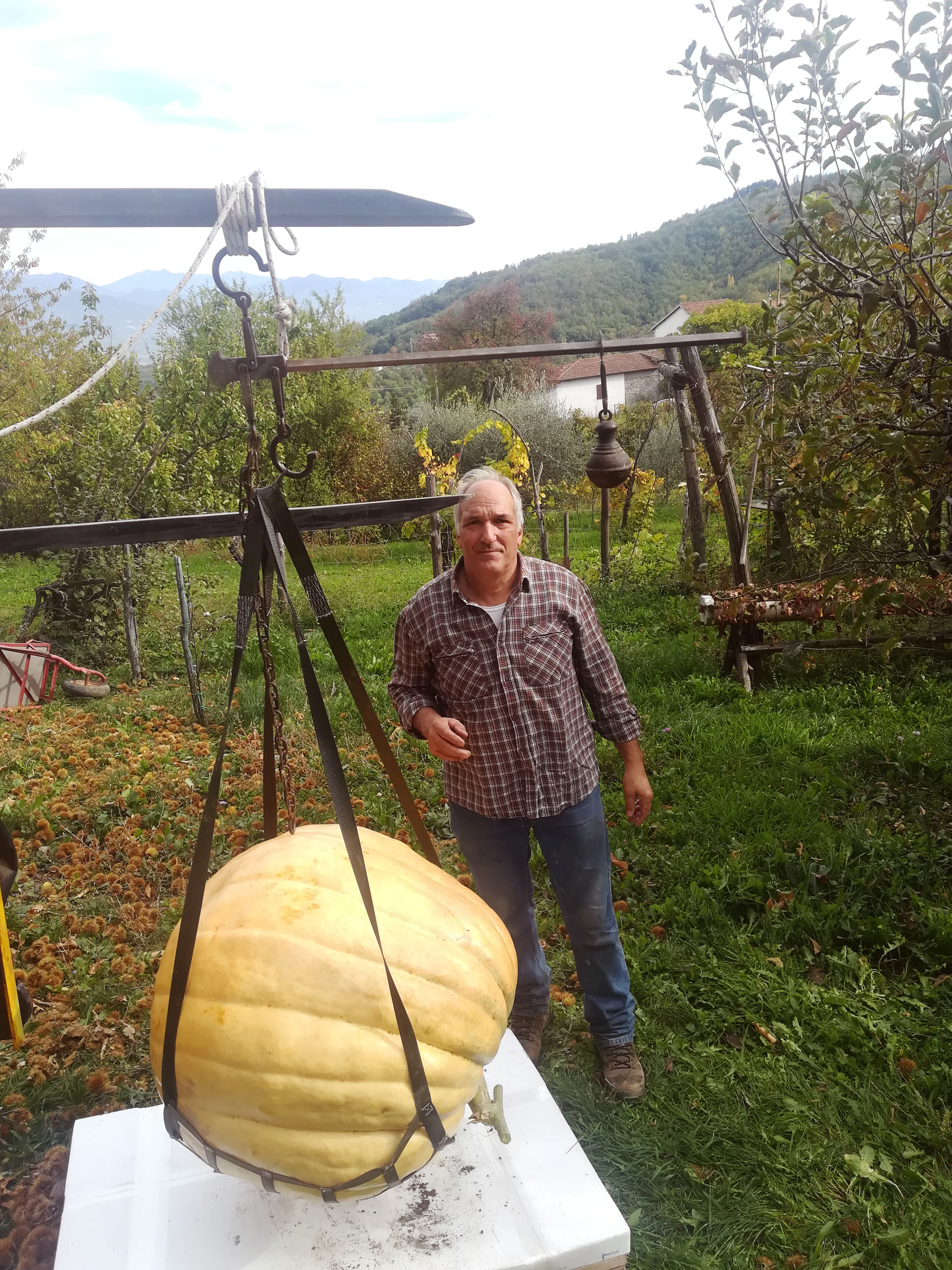 La zucca da record del torranese Marco Fantoni La zucca da record del torranese Marco Fantoni