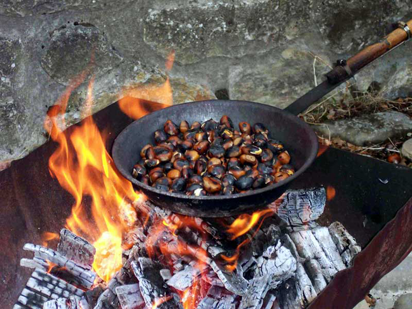Appuntamenti con… le castagne Appuntamenti con… le castagne