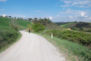 Una strada bianca in Toscana