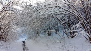 42meteo_neve