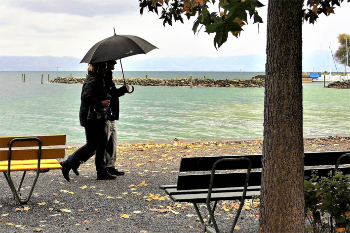 Ultime cartucce autunnali di novembre Ultime cartucce autunnali di novembre