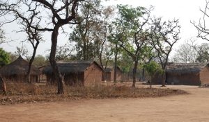 03Africa_Triani2