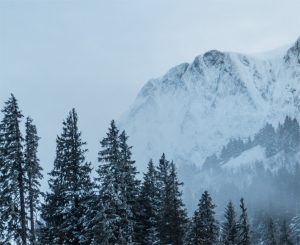 08meteo