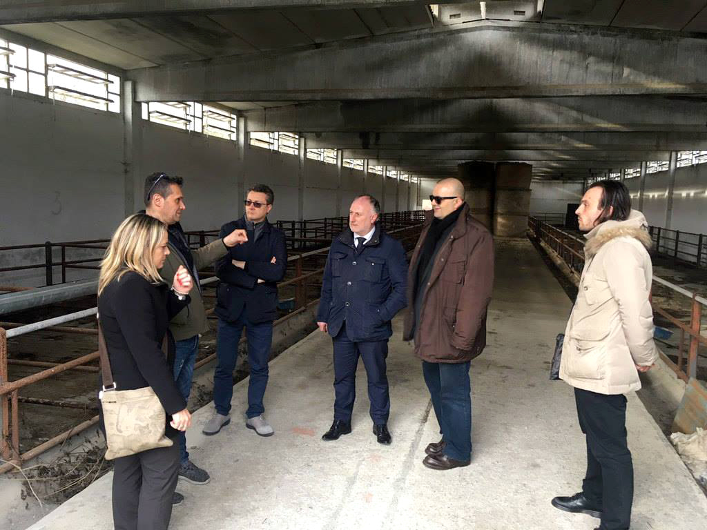Villafranca: il gruppo Cremonini interessato ad allevare bovini in località “Fola” Villafranca: il gruppo Cremonini interessato ad allevare bovini in località “Fola”