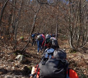 I componenti del Mangia Trekking in cammino nei boschi della Lunigiana