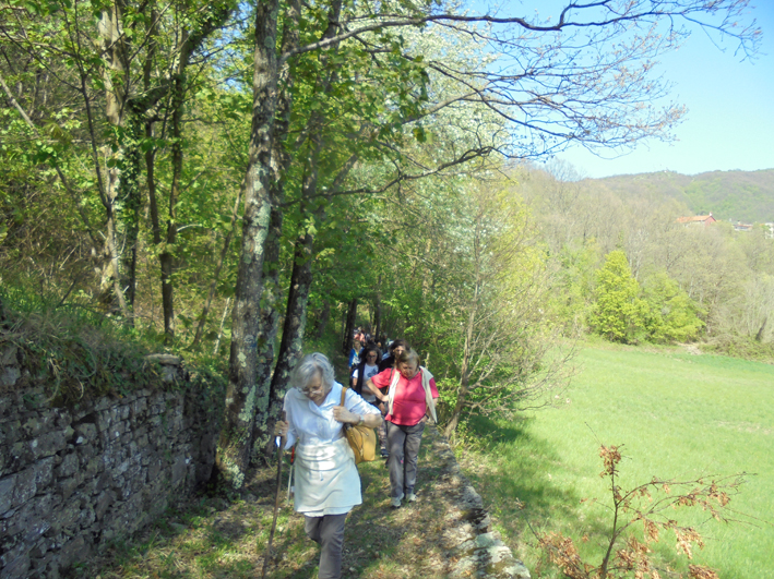 Pellegrinaggio da Montelungo a Succisa in onore di Santa Zita con una buona partecipazione Pellegrinaggio da Montelungo a Succisa in onore di Santa Zita con una buona partecipazione