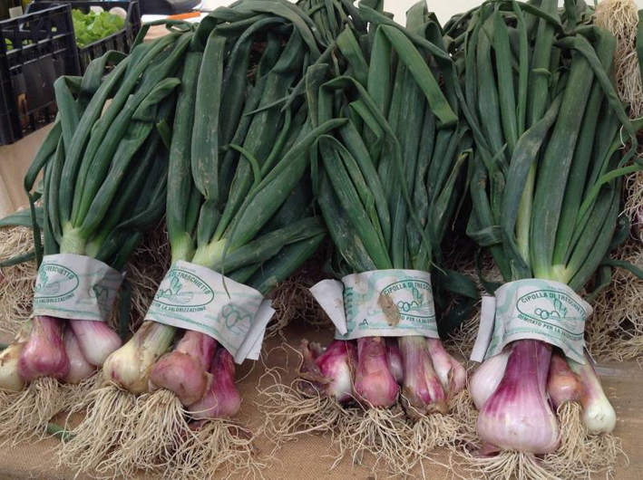 Treschietto, dove regna sua maestà la cipolla!