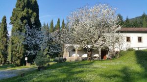 Il Convento del Carmine a Cerignano di Fivizzano