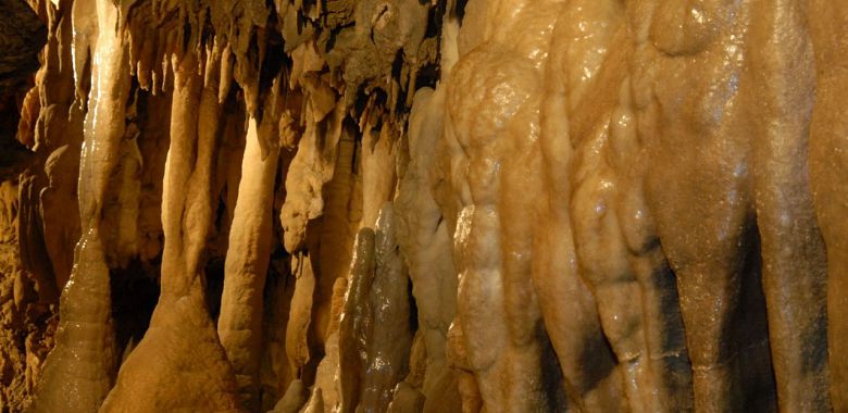 Alle Grotte di Equi il certificato di eccellenza TripAdvisor Alle Grotte di Equi il certificato di eccellenza TripAdvisor