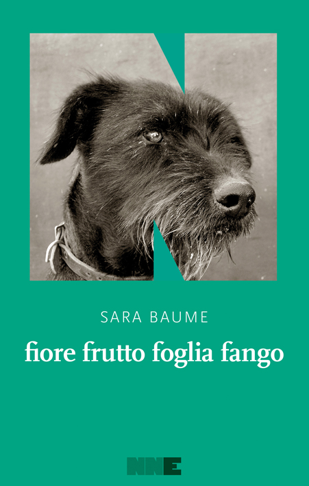 Fiore frutto foglia fango: il viaggio di Ray con “Unocchio” Fiore frutto foglia fango: il viaggio di Ray con “Unocchio”