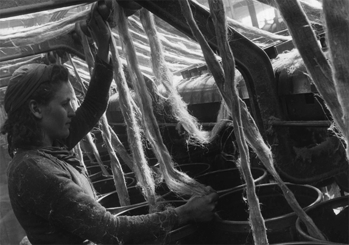 La Filanda di Aulla: una fabbrica, un  quartiere, un mondo