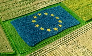 39PAC_UnioneEuropea