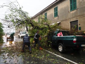 In alcune zone del territorio sono caduti anche rami e tronchi di alberi. Solerte il lavoro della Protezione Civile (foto Massimo Pasquali)