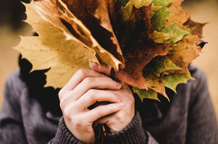 Novembre, prima metà umida e mite Novembre, prima metà umida e mite