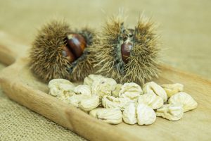 Le castagne ancora avvolte nel riccio e come appaiono dopo il processo di essiccazione, i cosiddetti "gussoni" da cui poi si ricava la farina