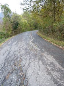 Un tratto della strada Provinciale 42 tra Molinello e Casalina