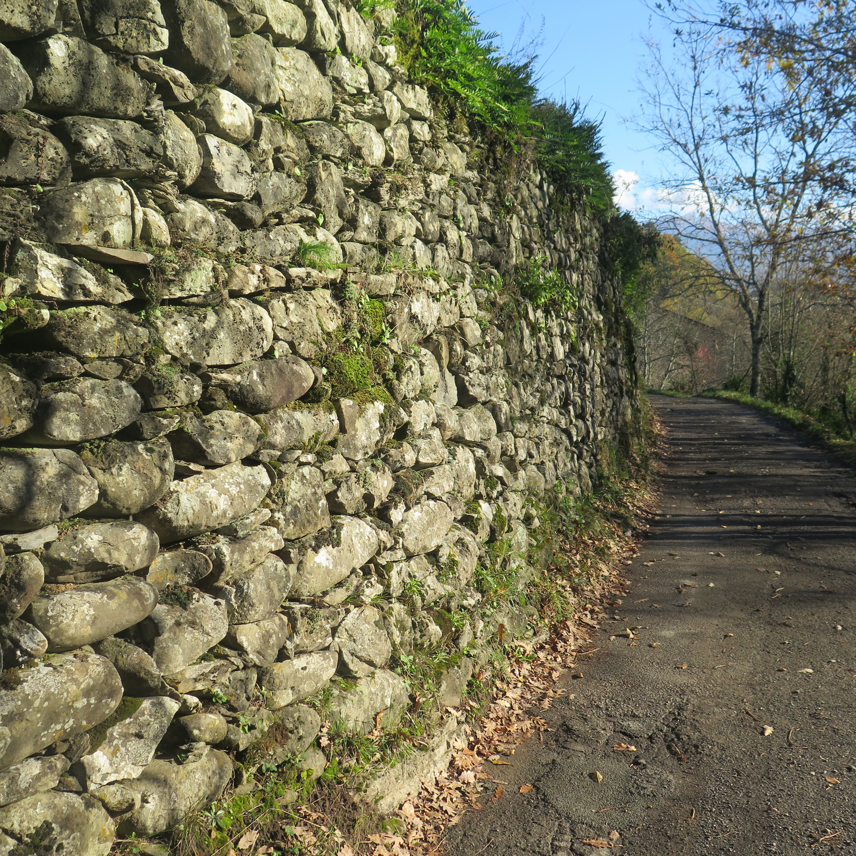 Il muretto a secco una ricchezza anche del nostro territorio