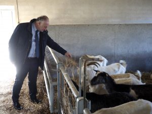 Lorenzetti getta un po di fieno alle capre (foto Massimo Pasquali)