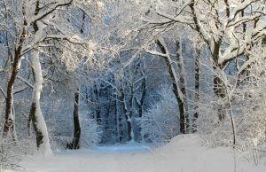 04meteo
