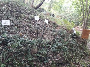 Alcune delle poesie di Fabrizio Rosi esposte lungo il sentiero che da Cavezzana porta al fiume Gordana