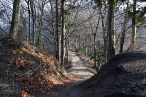 09meteo